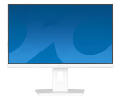 Monitor iiyama ProLite XUB2497HSU-W2